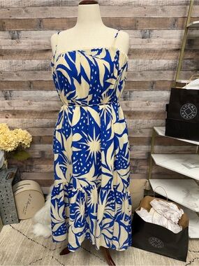 NWTCream & Blue ASTR The Label Maxi Dress XS